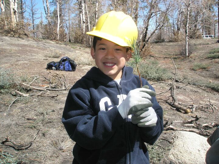 A young boy holding a tree sapling.